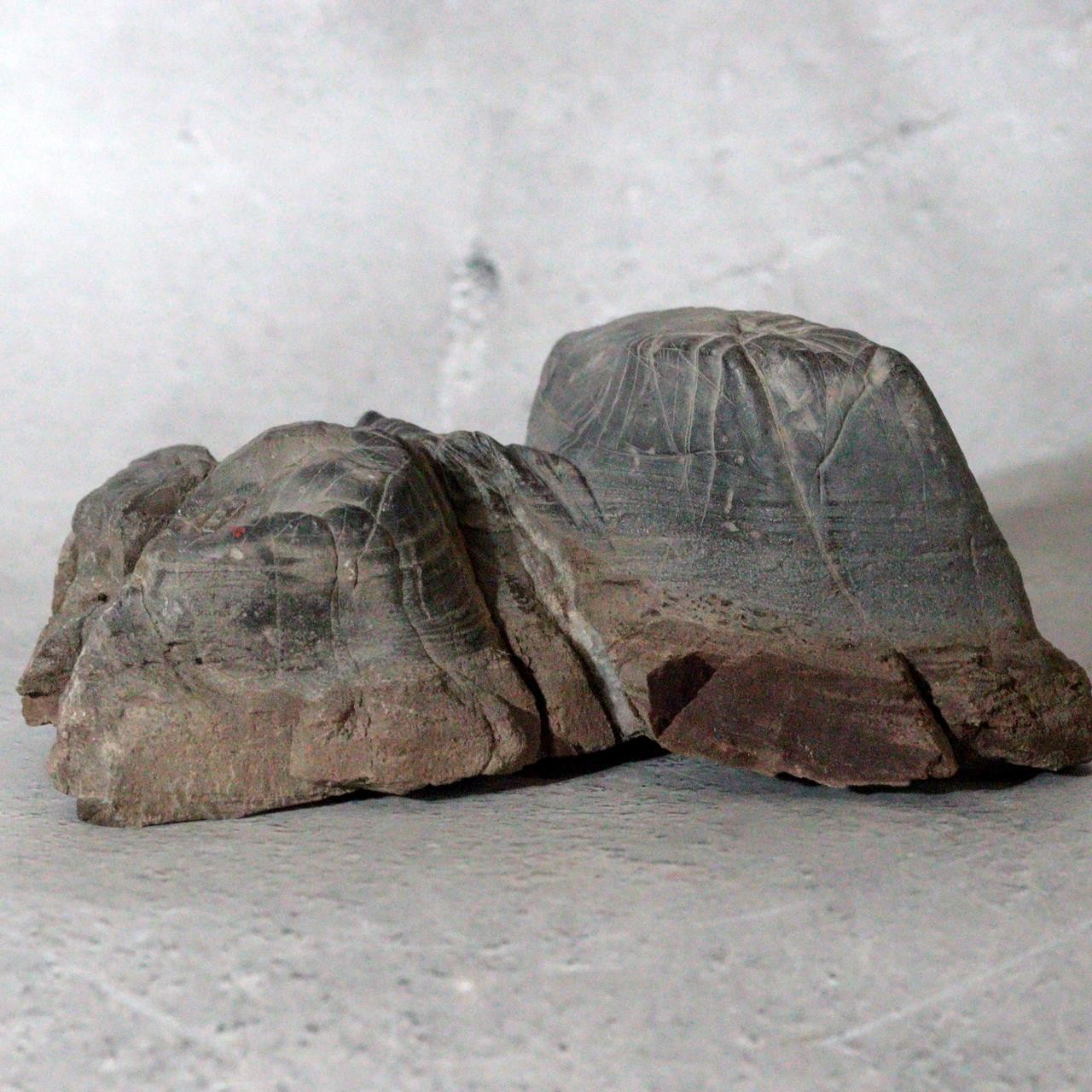 Japanese Suiseki Mountain Viewing Stone Furuya Kamuikotan Style1