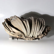 Antique Japanese Kamakura Period Yamajawan Fused Kiln Wasters Sanage Tokoname1