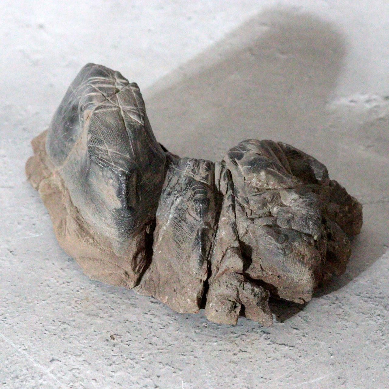 Japanese Suiseki Mountain Viewing Stone Furuya Kamuikotan Style18