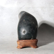 Japanese Suiseki Gifu Kujaku Kikkaseki Chrysanthemum Stone Wooden Base SS2402