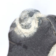 Japanese Pattern Stone Suiseki Buddha Figure Natural Zen Art Possibly Sugata5