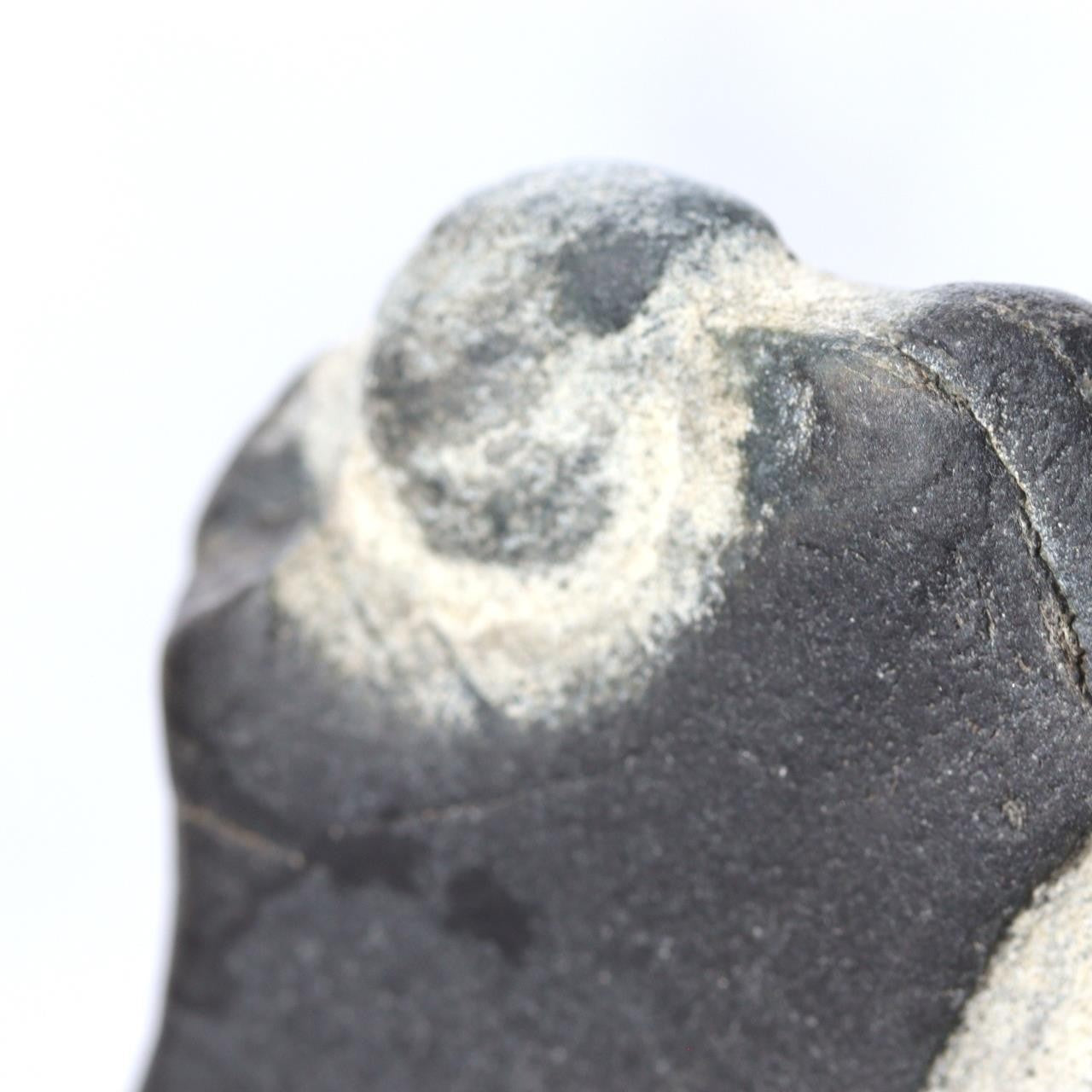 Japanese Pattern Stone Suiseki Buddha Figure Natural Zen Art Possibly Sugata5