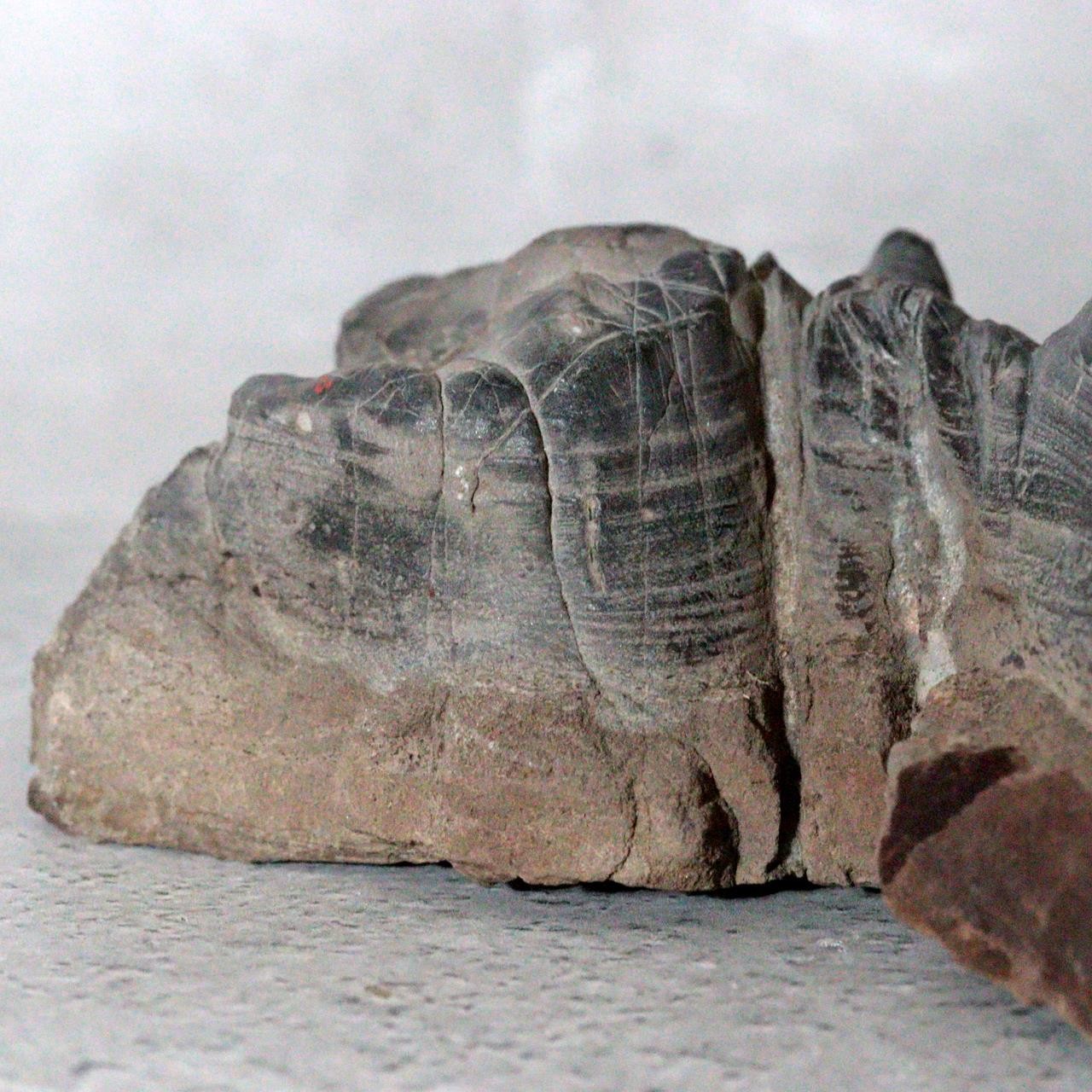 Japanese Suiseki Mountain Viewing Stone Furuya Kamuikotan Style11