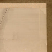45917879
