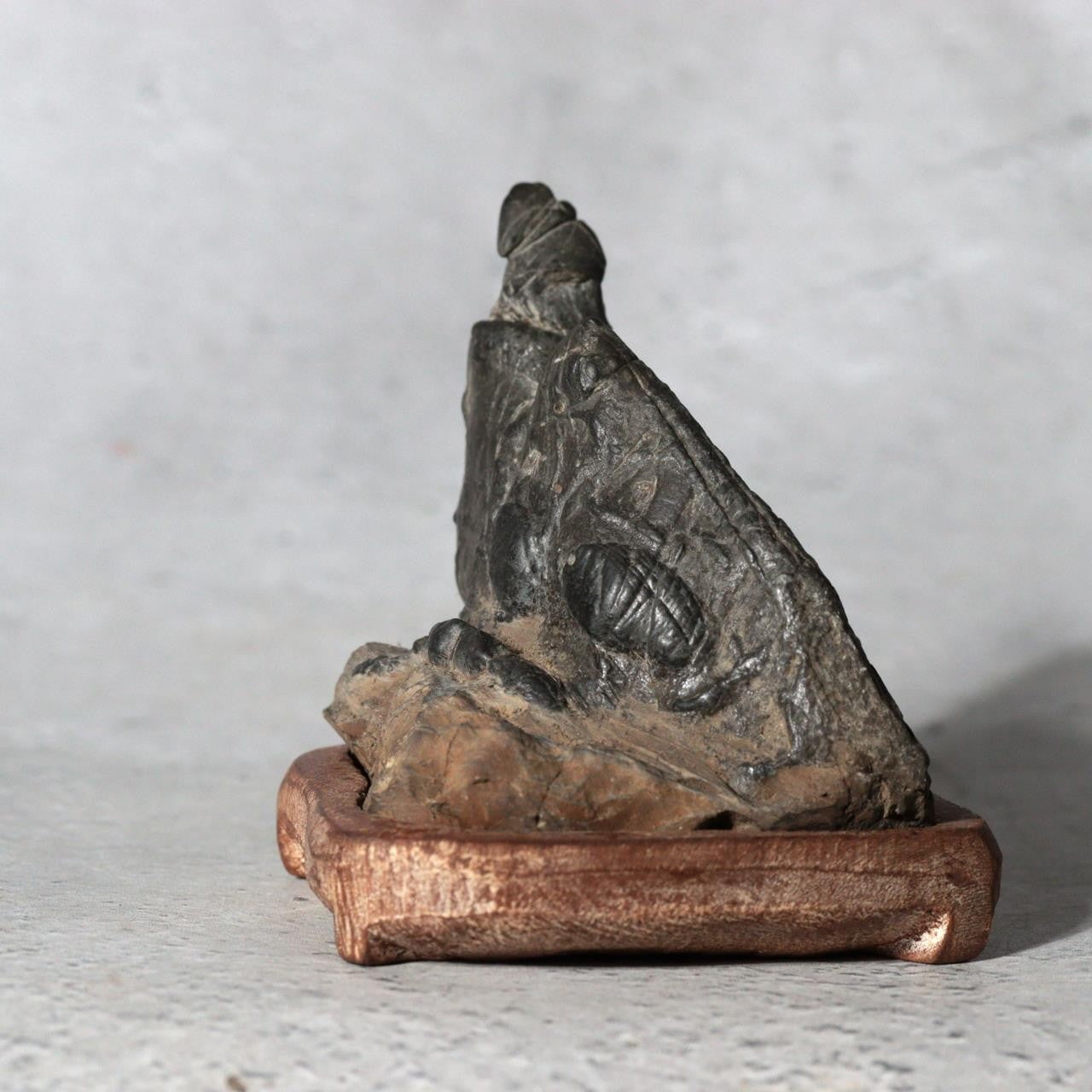 Japanese Suiseki Viewing Stone Miniature Mountain Scholar Rock SS2363
