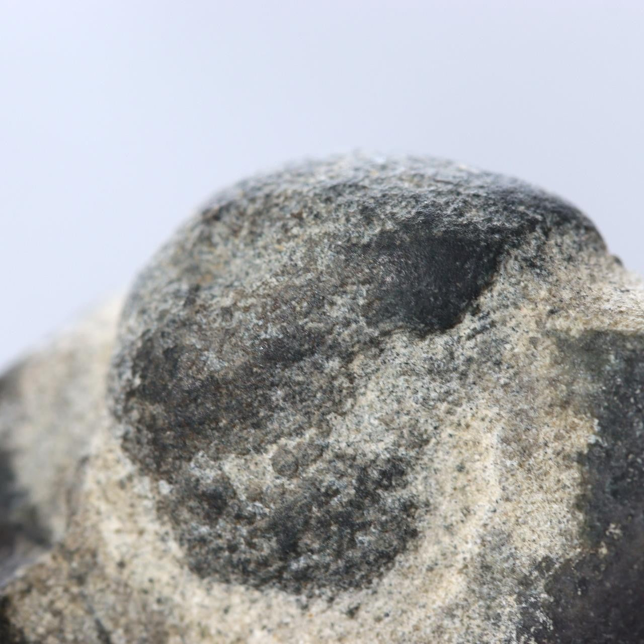 Japanese Pattern Stone Suiseki Buddha Figure Natural Zen Art Possibly Sugata11