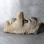 Vintage Japanese Stone Carved Daitengu Mask Figurine Mt. Takao Temple Shinto4