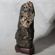 Japanese Suiseki Gifu Kikkaseki Chrysanthemum Stone Wooden Base SS2394