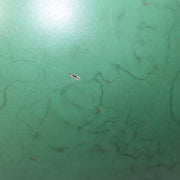 45917895