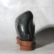 Japanese Suiseki Gifu Kujaku Kikkaseki Chrysanthemum Stone Wooden Base SS2403
