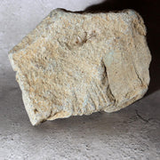 Japanese Antique Stone Monkey Statue Saru God Garden Ornament Zen Bonsai Folk Ar13