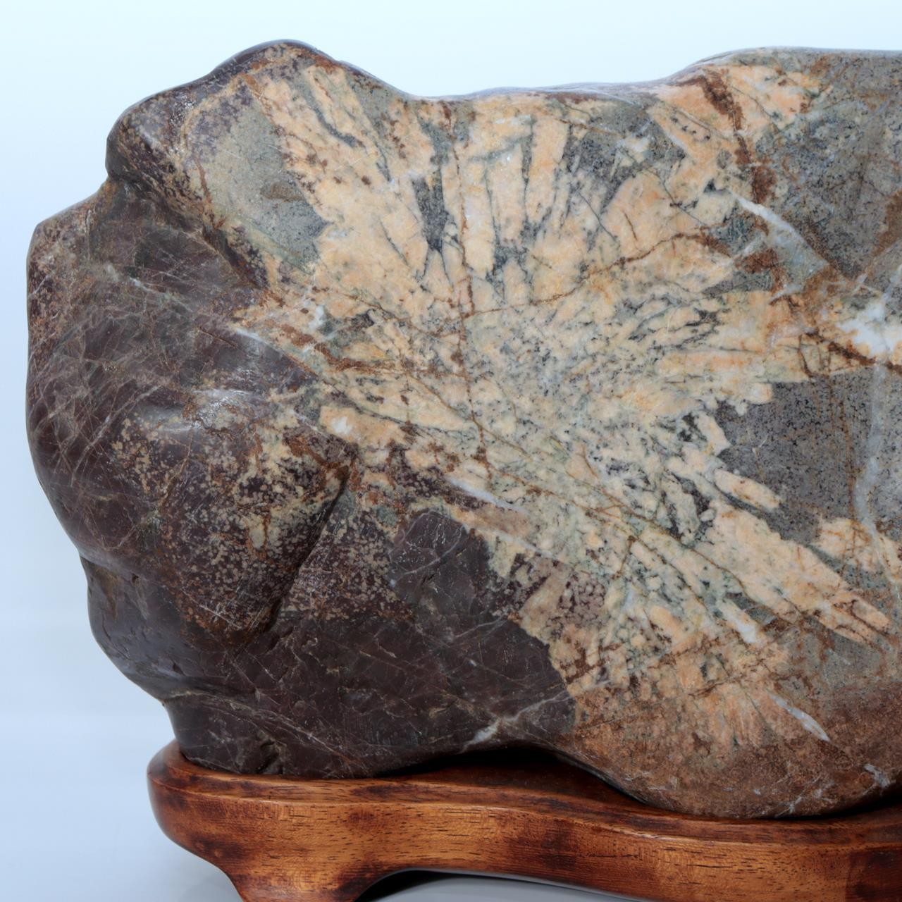 Japanese Natural Chrysanthemum Stone Kikuka-seki Neodani Gifu with Daiza SS2367