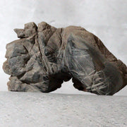 Japanese Suiseki Mountain Viewing Stone Furuya Kamuikotan Style3