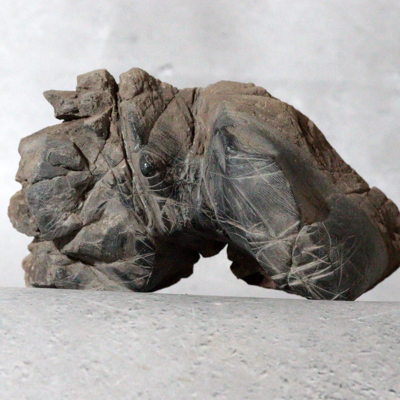 Japanese Suiseki Mountain Viewing Stone Furuya Kamuikotan Style3