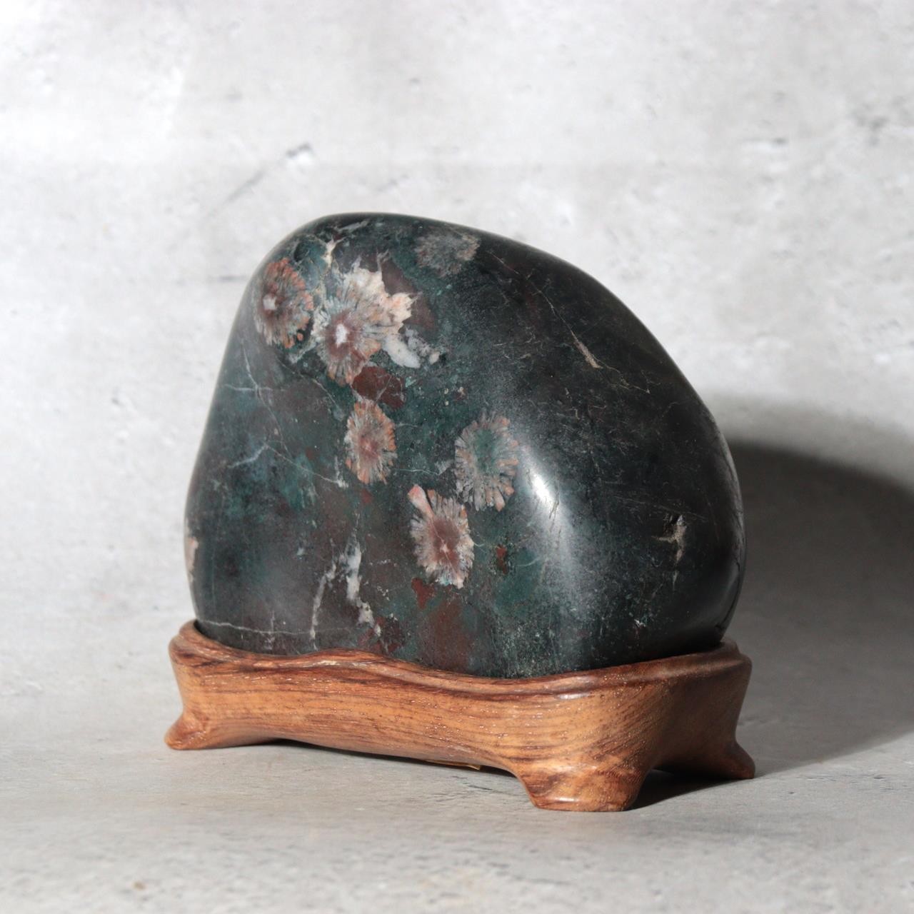 Japanese Suiseki Gifu Kujaku Kikkaseki Chrysanthemum Stone Wooden Base SS2407
