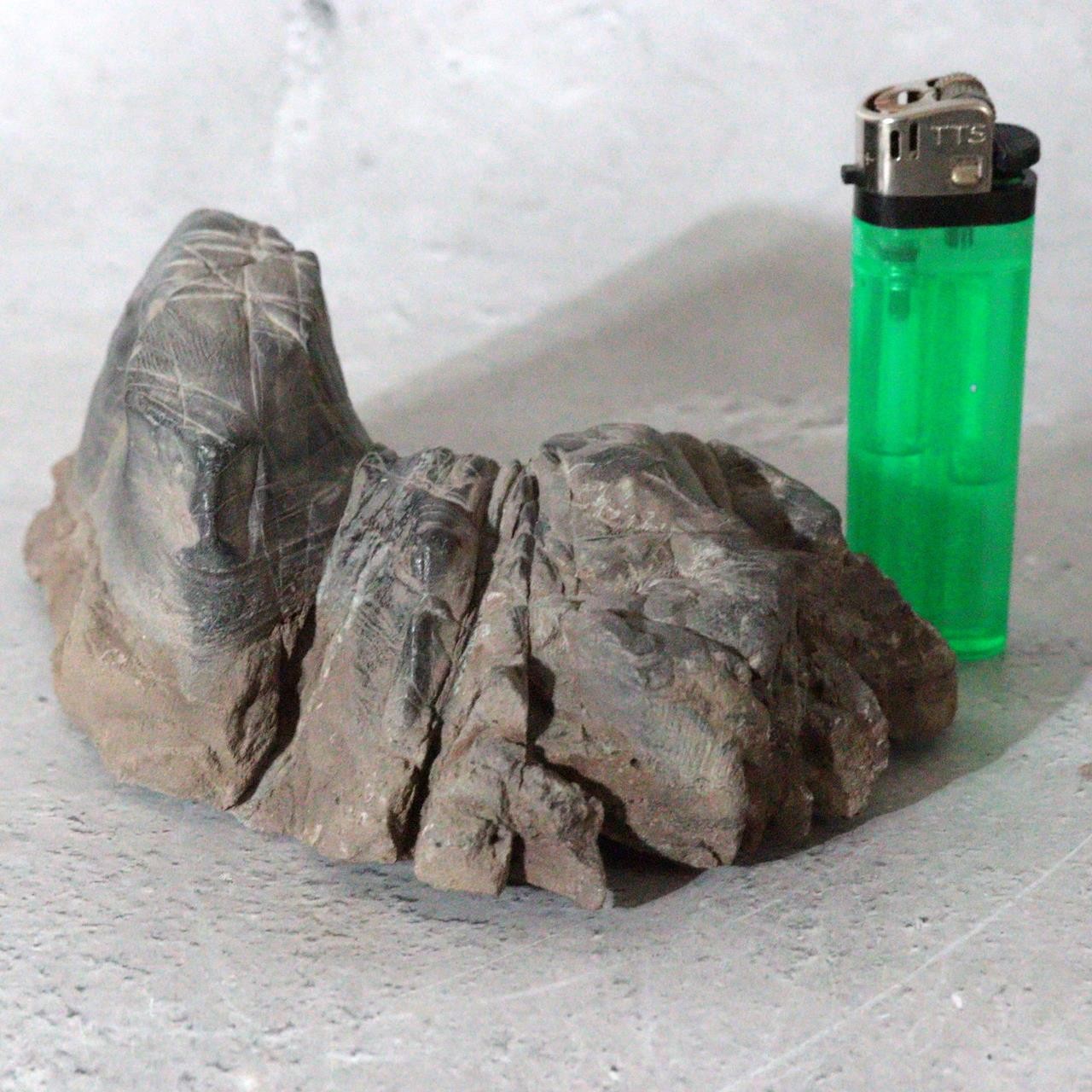 Japanese Suiseki Mountain Viewing Stone Furuya Kamuikotan Style5