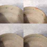 45918104