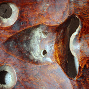 Japanese Wooden Noh Mask Otobide Demon God Gold Eyes Kagura 21cm MSK52918