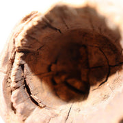 Japanese Rustic Natural Wood Root Hanging Flower Vase Kake-Hanairi 28cm WO56519