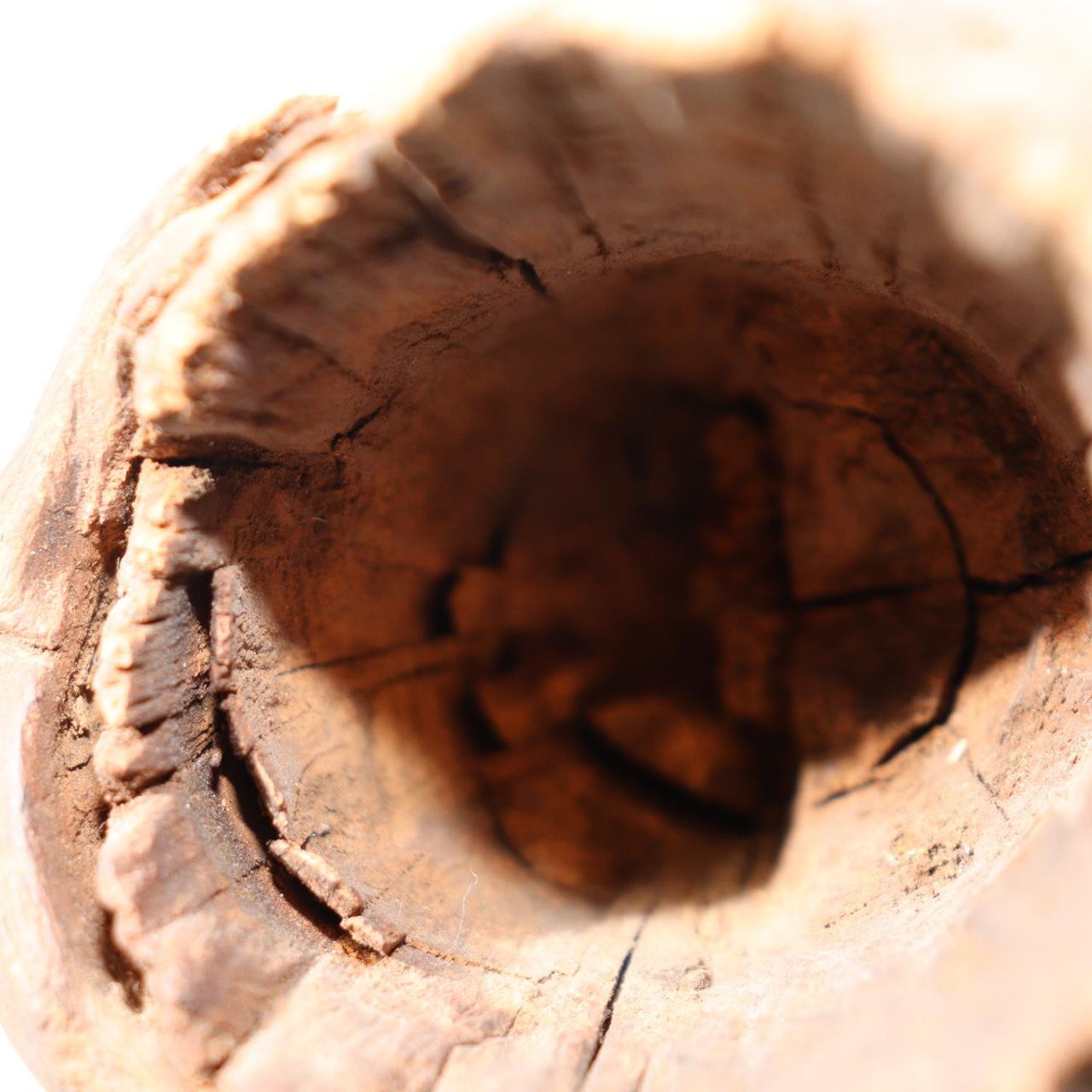 Japanese Rustic Natural Wood Root Hanging Flower Vase Kake-Hanairi 28cm WO56519
