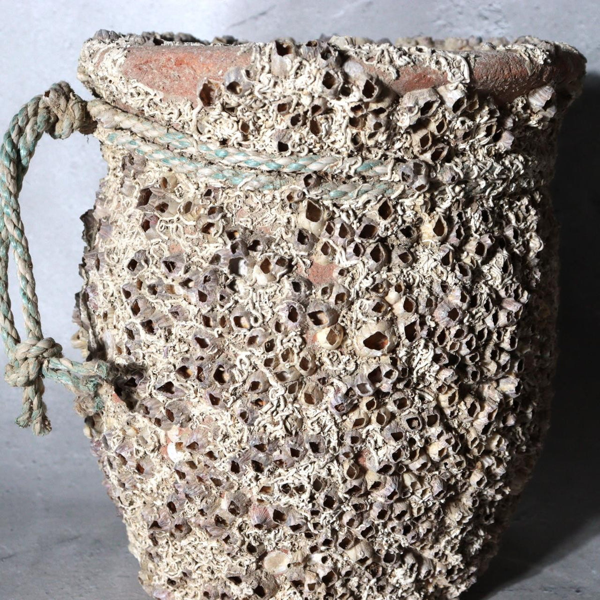 Vintage Japanese Pottery Octopus Trap Takotsubo Barnacles Rope Vase13