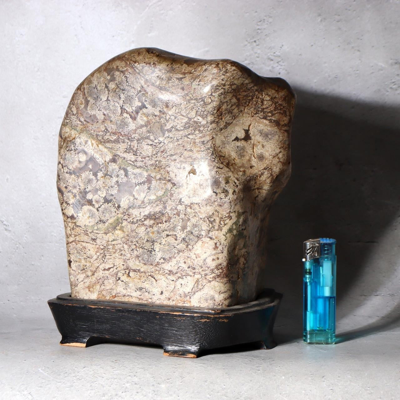 Japanese Suiseki Plum Blossom Stone Premium Baikaseki Viewing Stone Custom Wood0