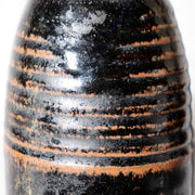 Antique Japanese Seba-yaki Pottery Tokkuri Sake Bottle Nagano Shinshu Vase10