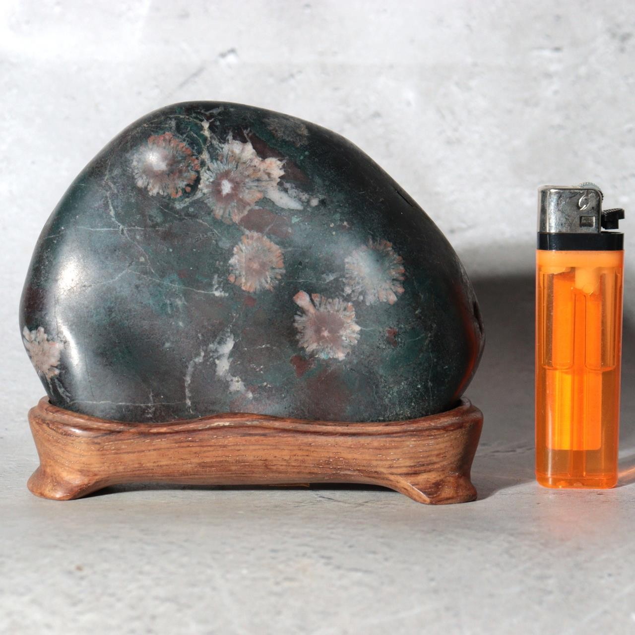 Japanese Suiseki Gifu Kujaku Kikkaseki Chrysanthemum Stone Wooden Base SS24016