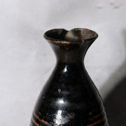 Antique Japanese Seba-yaki Pottery Tokkuri Sake Bottle Nagano Shinshu Vase18