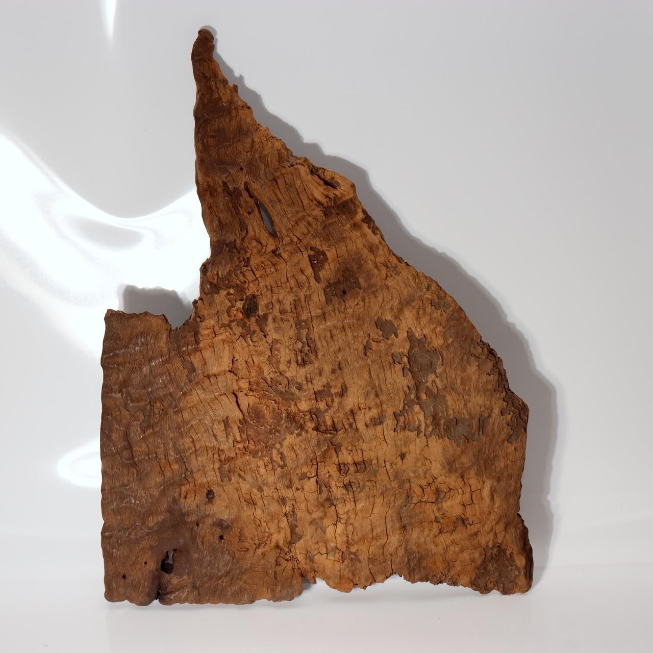 Vintage Japanese Burl Wood Display Stand Wabi Sabi Kanban Sign Fragment WO5374