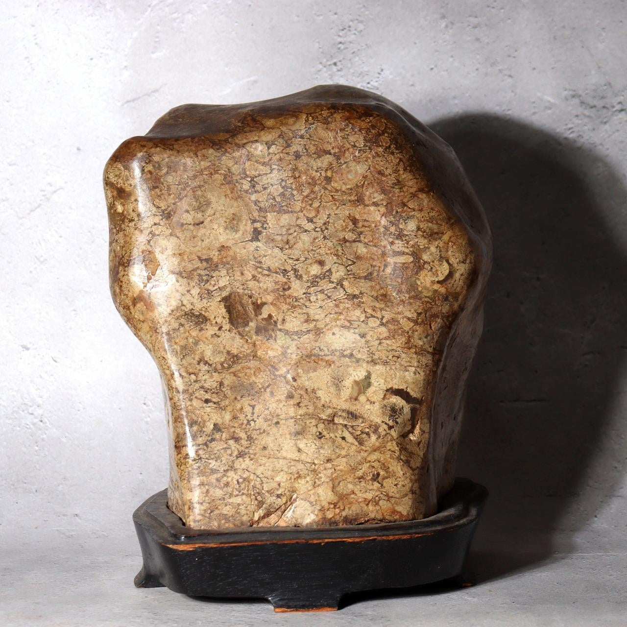 Japanese Suiseki Plum Blossom Stone Premium Baikaseki Viewing Stone Custom Wood1