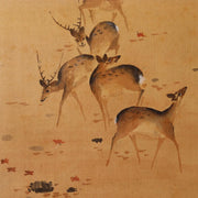 Masterpiece Antique Japanese Scroll Painting Mori Kansai  Deer in Autumn Nar0