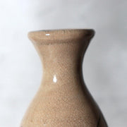 Late Edo Seto Ware Ceramic Sake Bottle Tokkuri Iron Brown Grass Motif PV31713