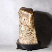Japanese Suiseki Plum Blossom Stone Premium Baikaseki Viewing Stone Custom Wood5