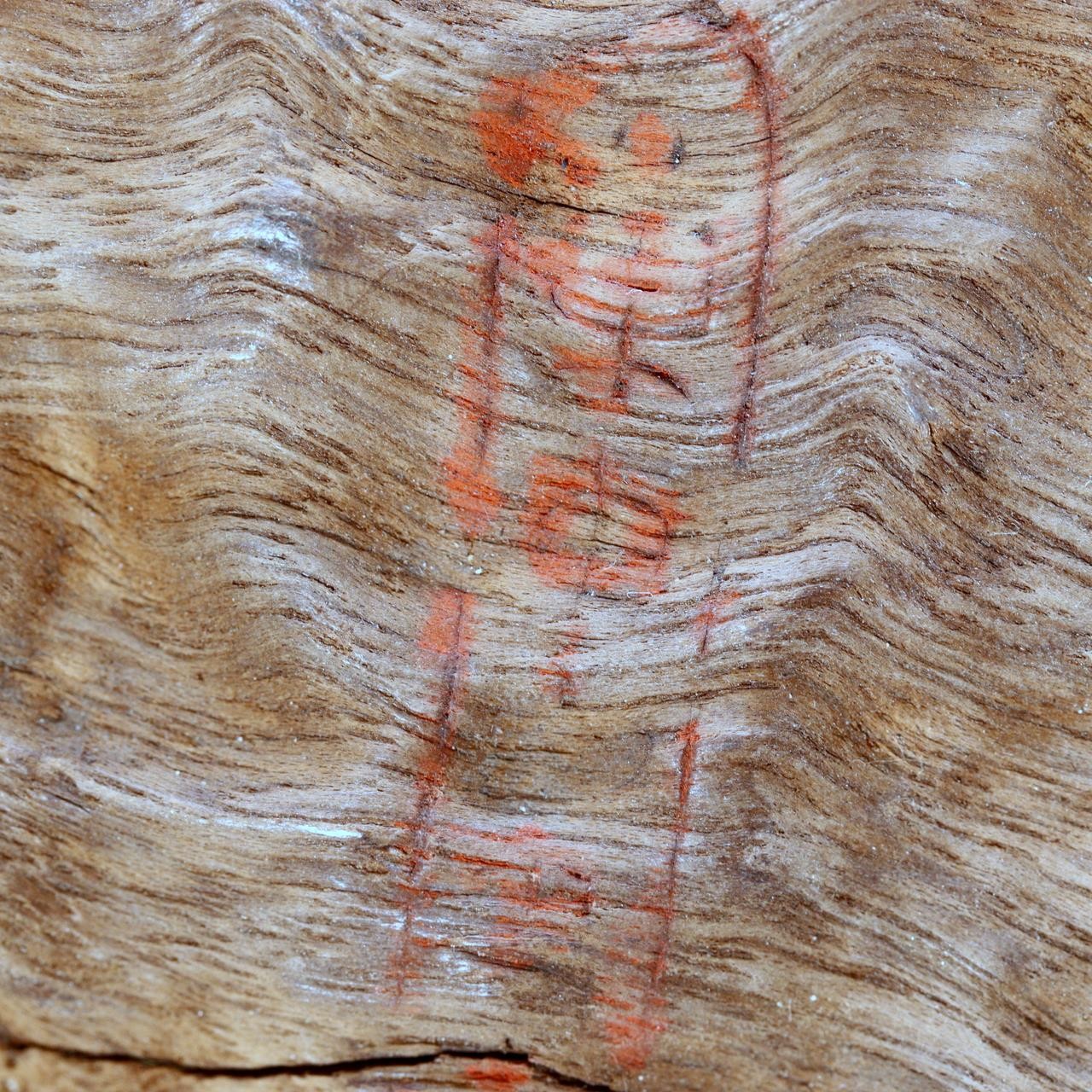 Vintage Japanese Burl Wood Display Stand Wabi Sabi Kanban Sign Fragment WO5376