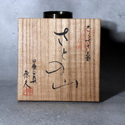 Japanese Master Bronze Vase "Sato no Yama" by Hasegawa Yoshihisa Nitten Juror13