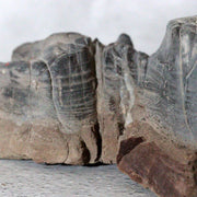 Japanese Suiseki Mountain Viewing Stone Furuya Kamuikotan Style12