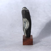 Japanese Pattern Stone Suiseki Buddha Figure Natural Zen Art Possibly Sugata4