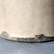 Late Edo Seto Ware Ceramic Sake Bottle Tokkuri Iron Brown Grass Motif PV31710