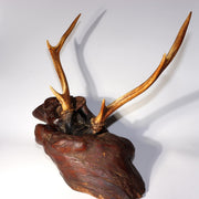 Japanese Deer Antler Sword Stand Katana Kake Stag Horn Natural Wood Burl 47cm10