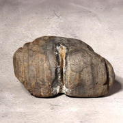 Japanese Suiseki Viewing Stone Natural River Rock White Vein Rustic Zen Art10