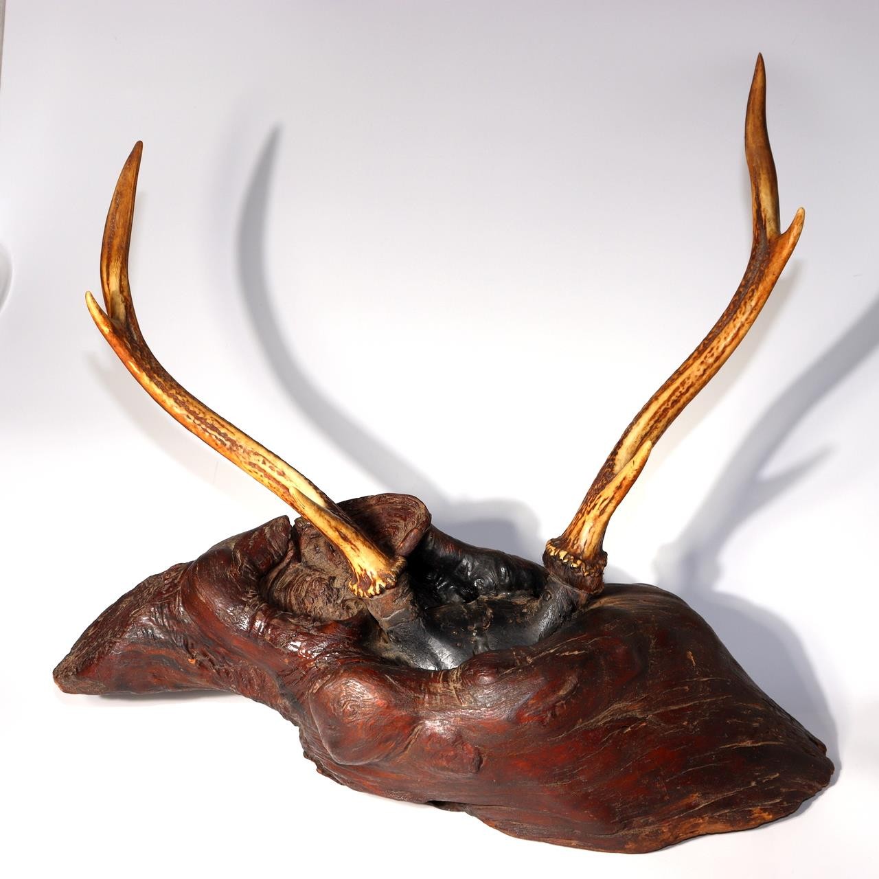 Japanese Deer Antler Sword Stand Katana Kake Stag Horn Natural Wood Burl 47cm1