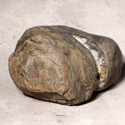 Japanese Suiseki Viewing Stone Natural River Rock White Vein Rustic Zen Art5