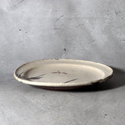 Antique Bakumatsu Seto Ware Ceramic Plate Iris Dragonfly Pattern PCP3064