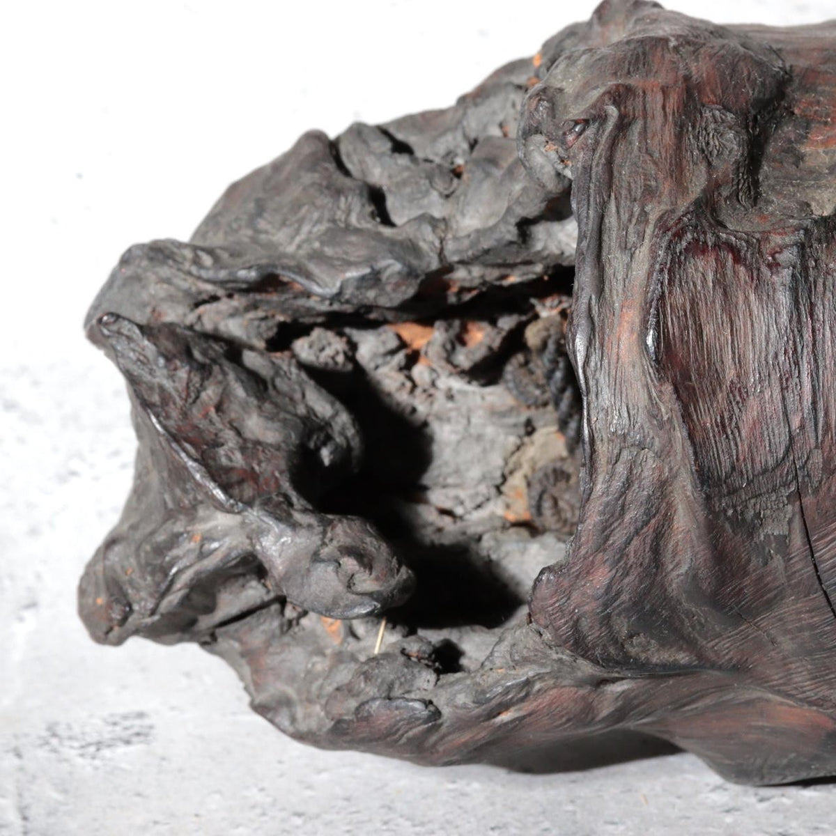 Vintage Japanese Natural Tree Root Wall Hanging Ikebana Flower Vase13