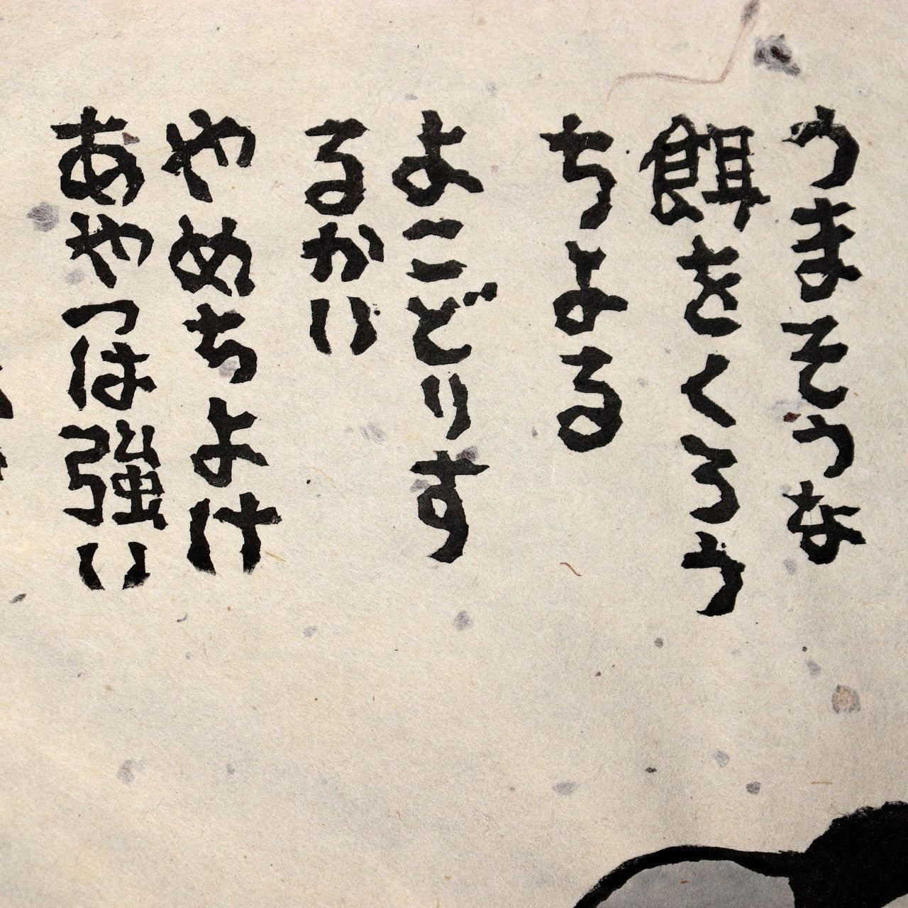 45490629
