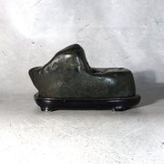 Vintage Japanese Kamuikotan Suiseki Viewing Stone Mountain Shape Daiza Box4