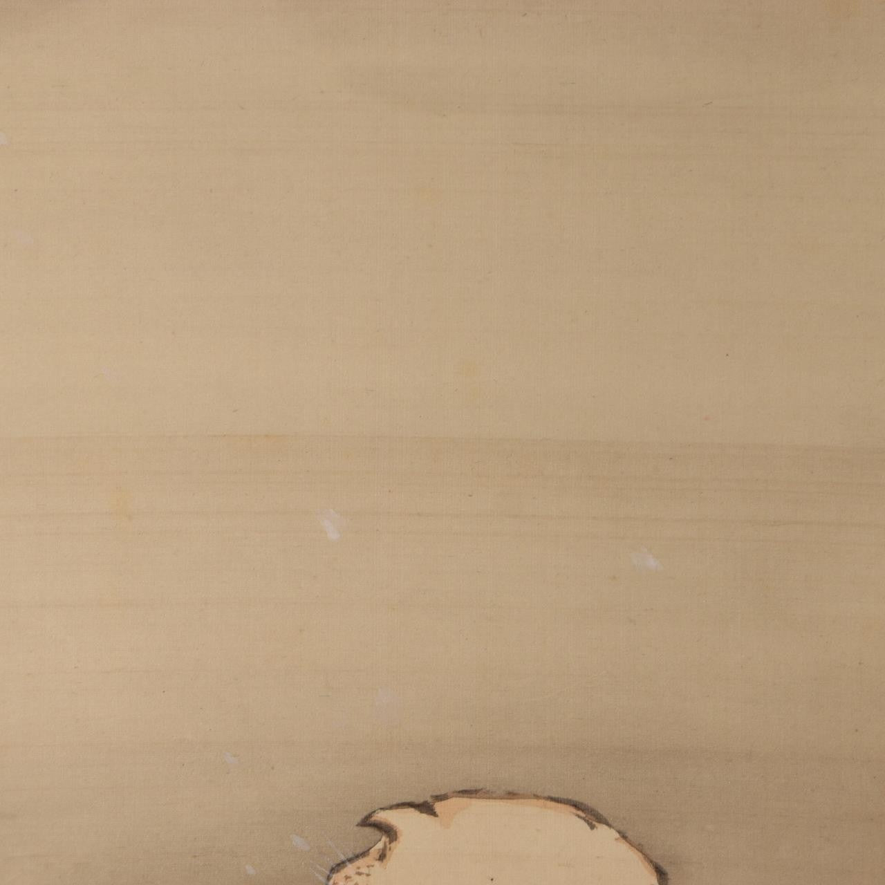 45917879