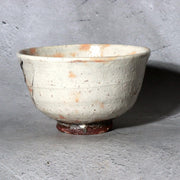 Japanese Shino Ware Matcha Tea Bowl Chawan Uguisu Bird Bamboo Azuma Suimei Box4