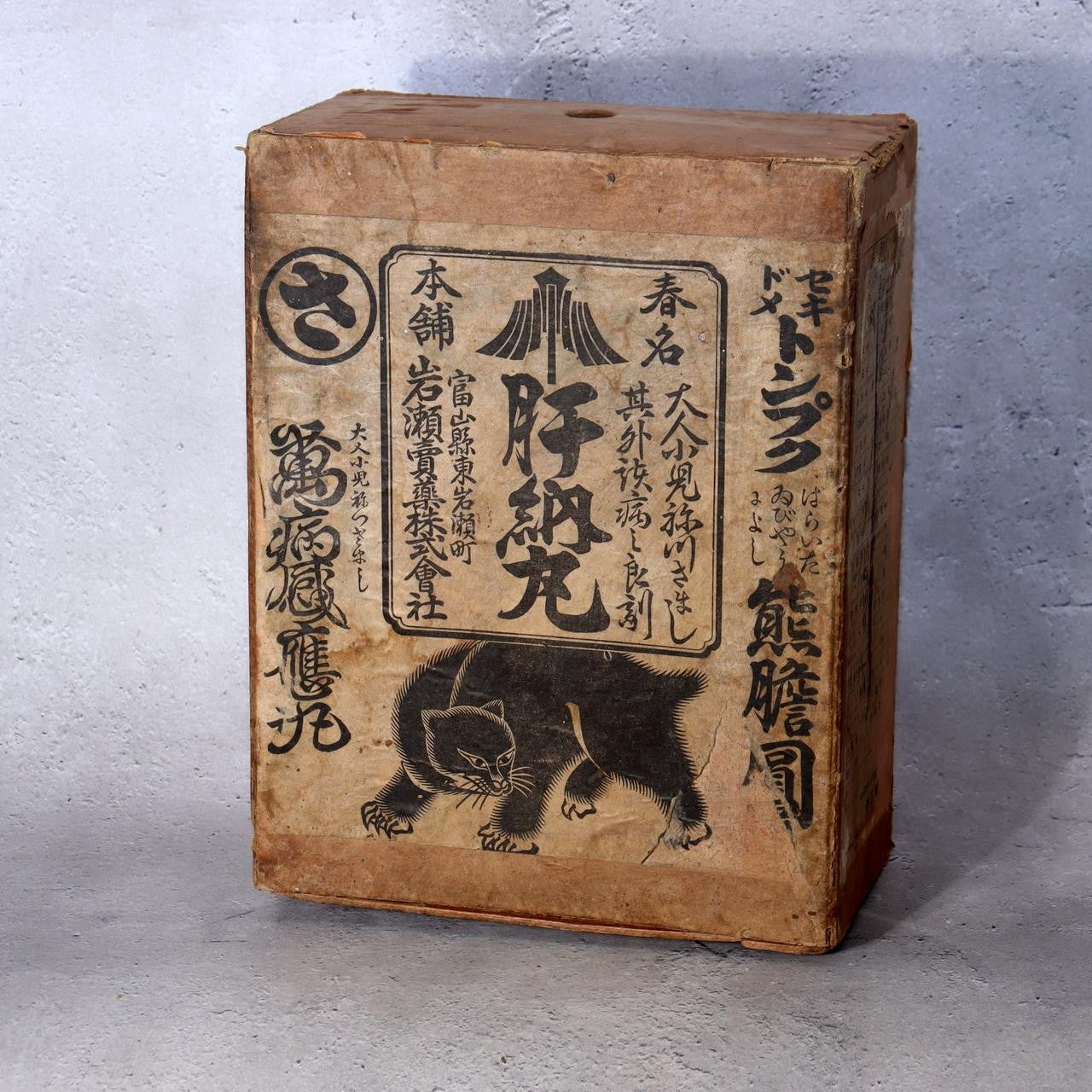 Antique Japanese Toyama Medicine Box  Fierce Bear Graphic  Folk Art Relic WO5951